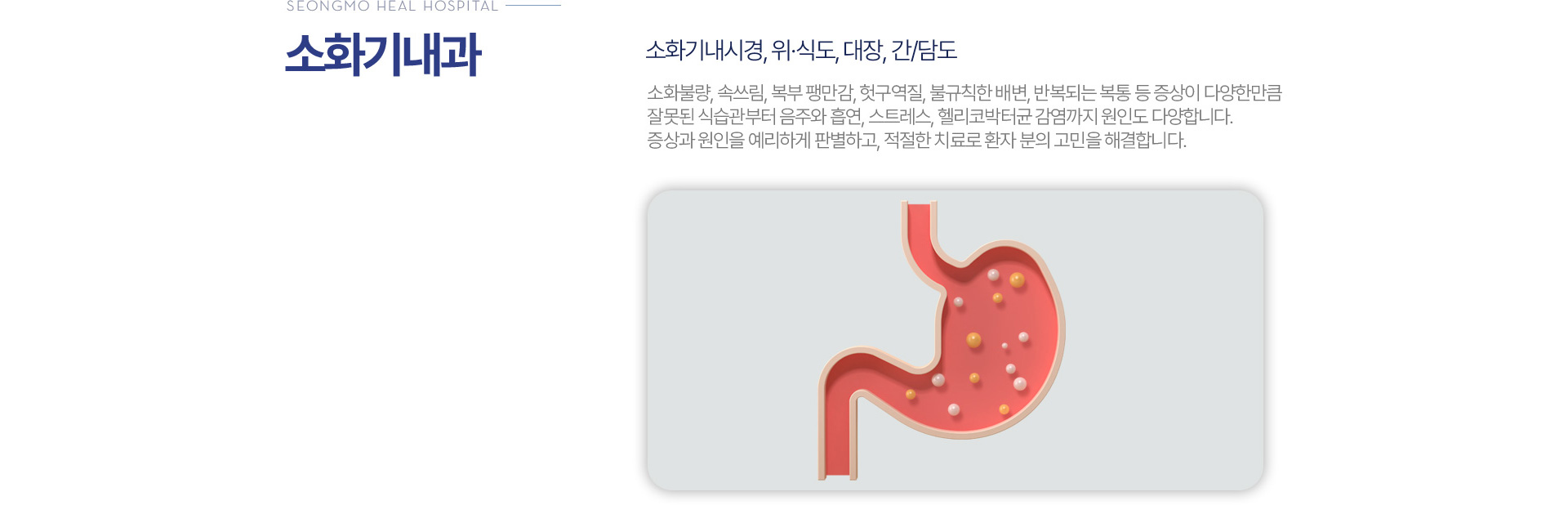 소화기내과
